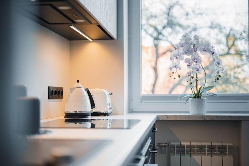 New Luxury 3Br Apartment In Old Town, Free Parking Haapsalu Exterior foto